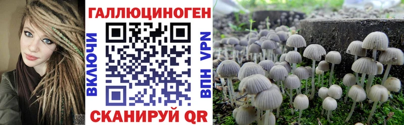 mega рабочий сайт  где найти наркотики  Навашино  Псилоцибиновые грибы GOLDEN TEACHER 