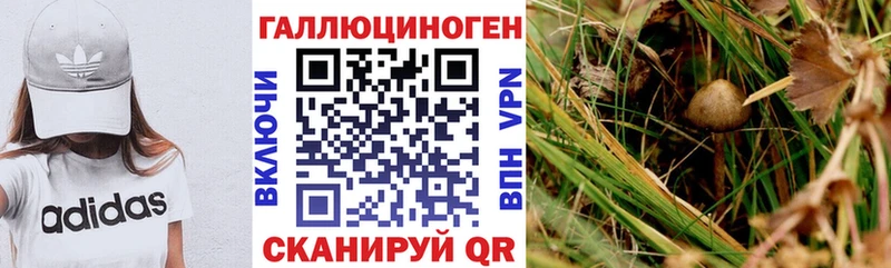 Псилоцибиновые грибы GOLDEN TEACHER Навашино